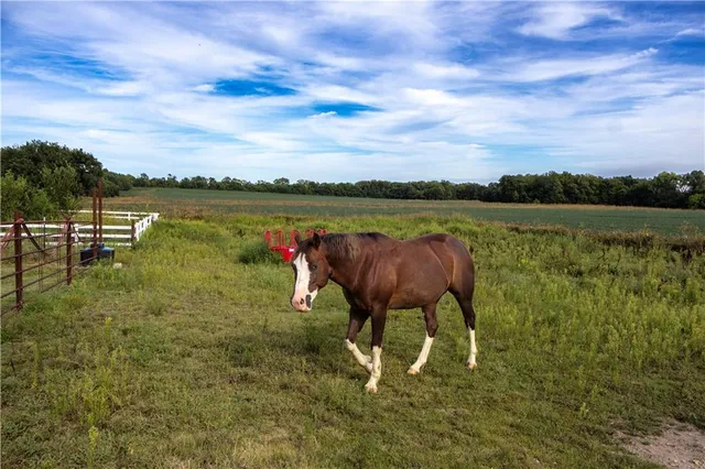$695,000 | 674 Old Mill Road, Peabody, KS 66866