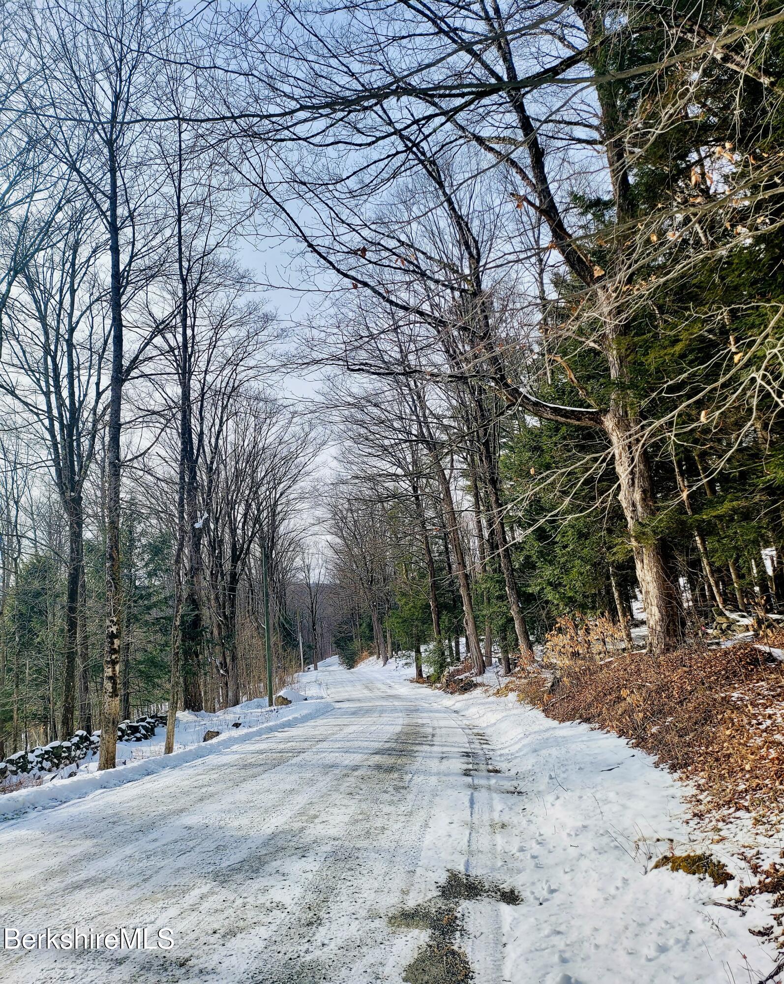 Lot 2 Leland Road Becket, MA 01223 - Photo 9 of 25 Leland Rd in winter