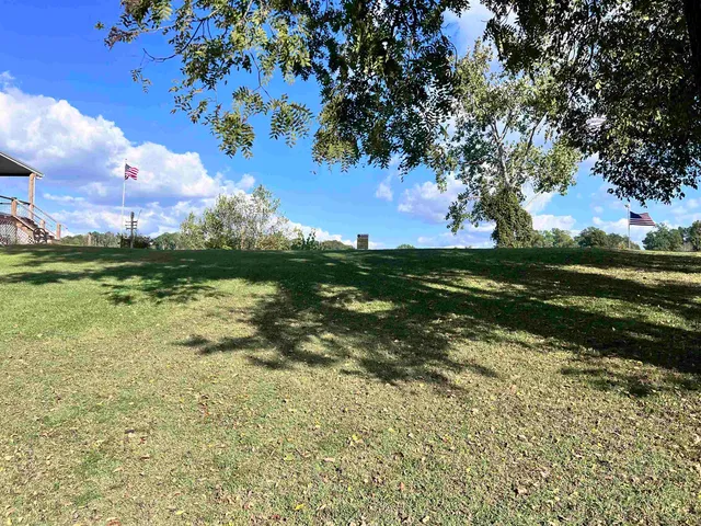 a view of a yard with a tree