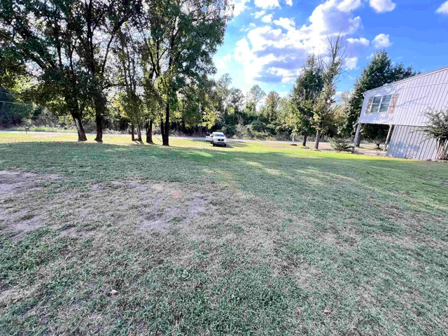 a huge green field with lots of trees