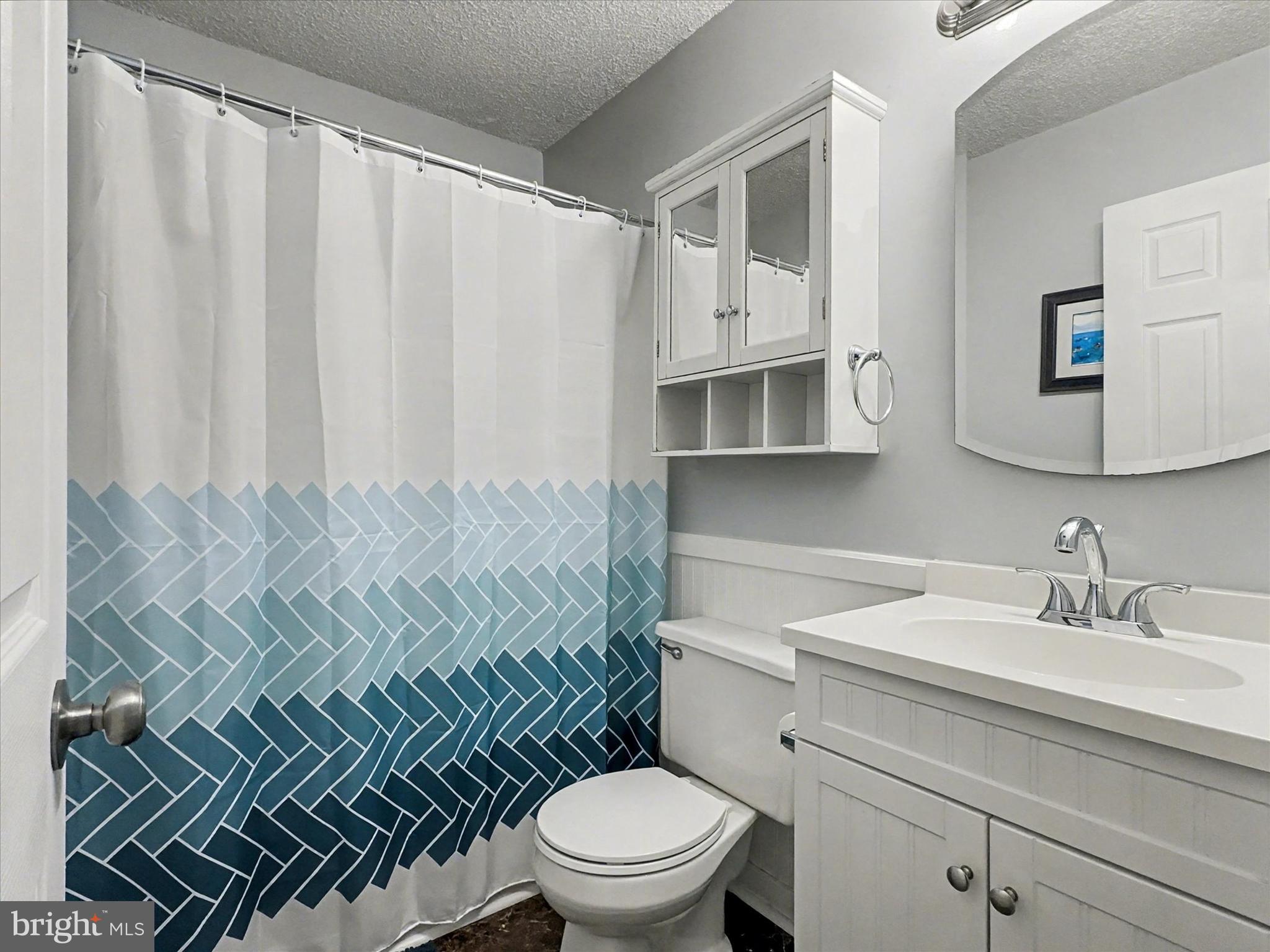 123 Overview Circle East Red Lion, PA 17356 - Photo 15 of 23 a bathroom with a sink a toilet and shower curtain