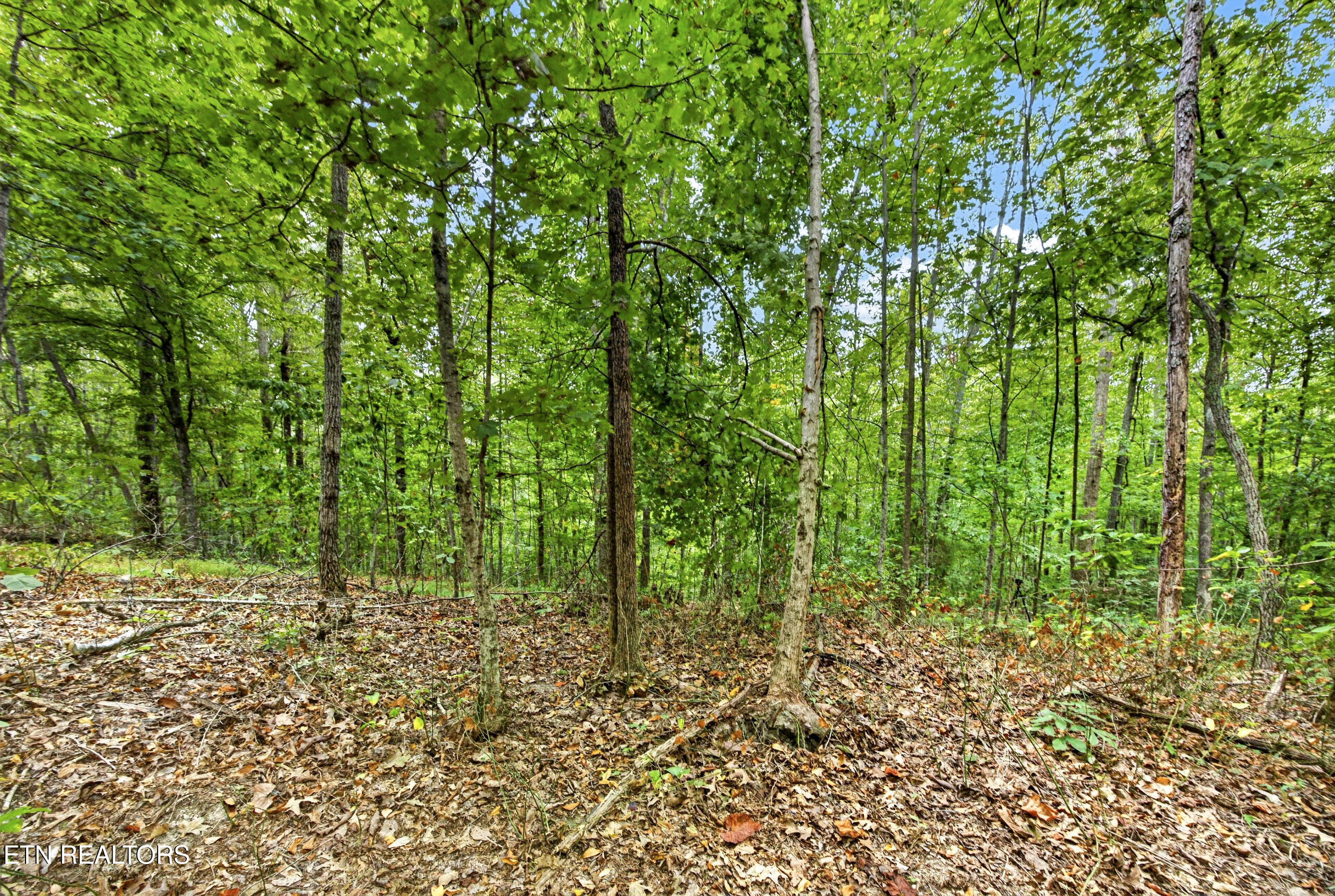 Lot 28 Timber Ridge Lane Celina, TN 38551 - Photo 7 of 14 6-8N5A6774
