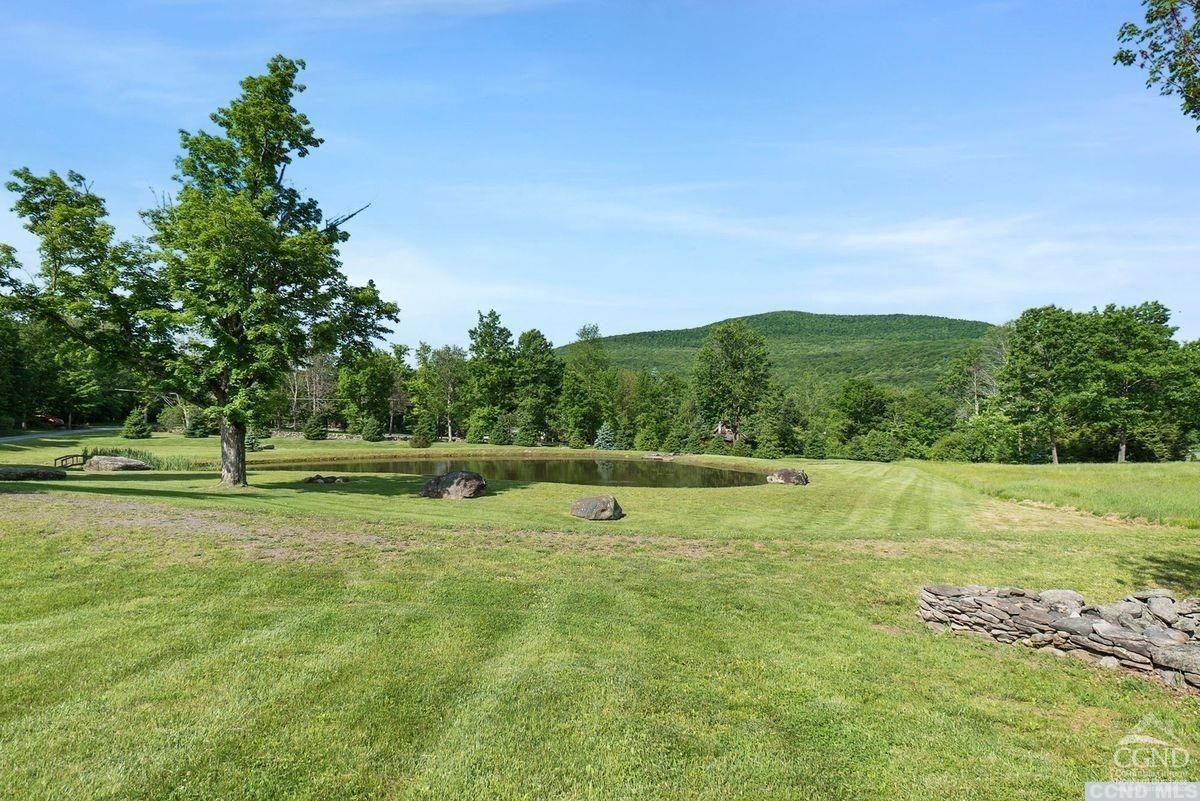 33 Elm Ridge Road Hensonville, NY 12439 - Photo 59 of 67 Photo 36