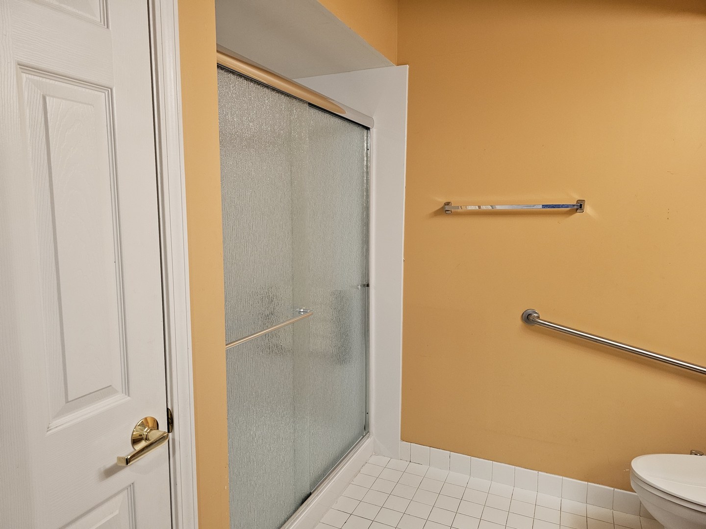 405 West Front Street, Unit 3207 Wheaton, IL 60187 - Photo 10 of 16 a bathroom with a shower
