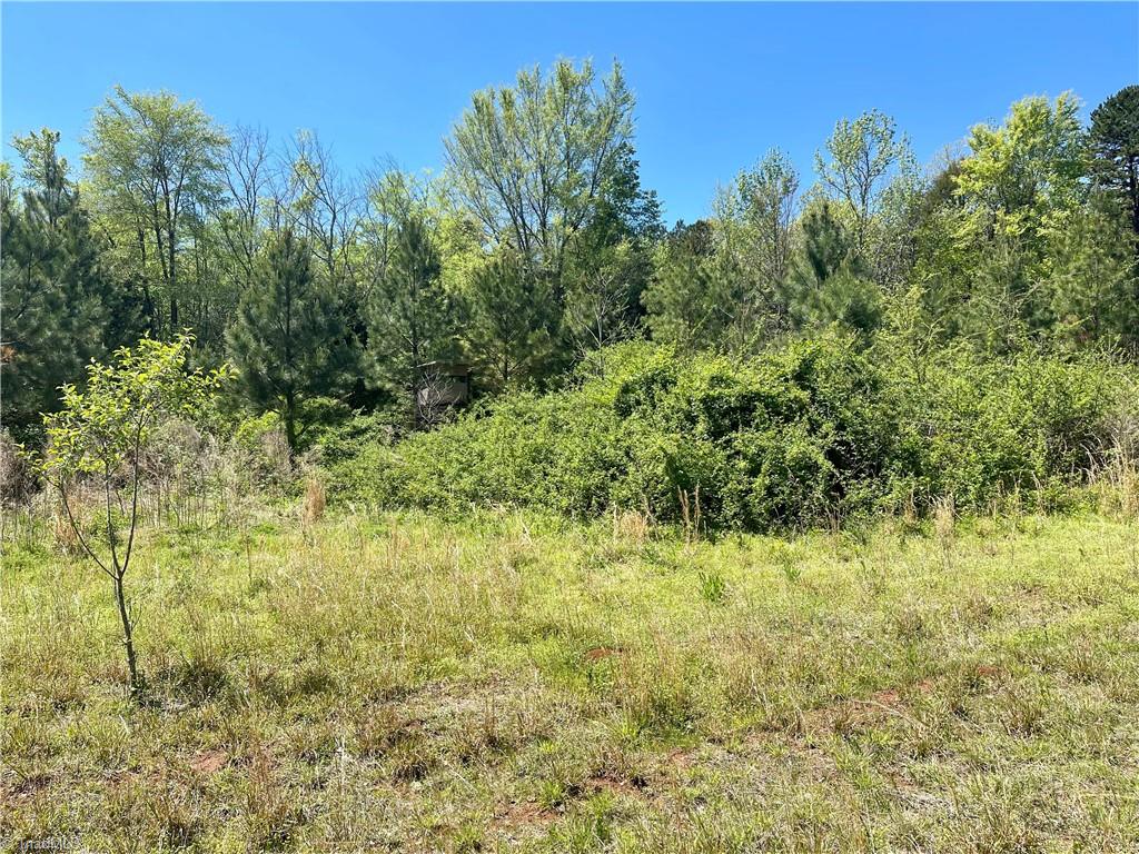 3190 Riverside Drive Lexington, NC 27292 - Photo 44 of 46 Blackberries