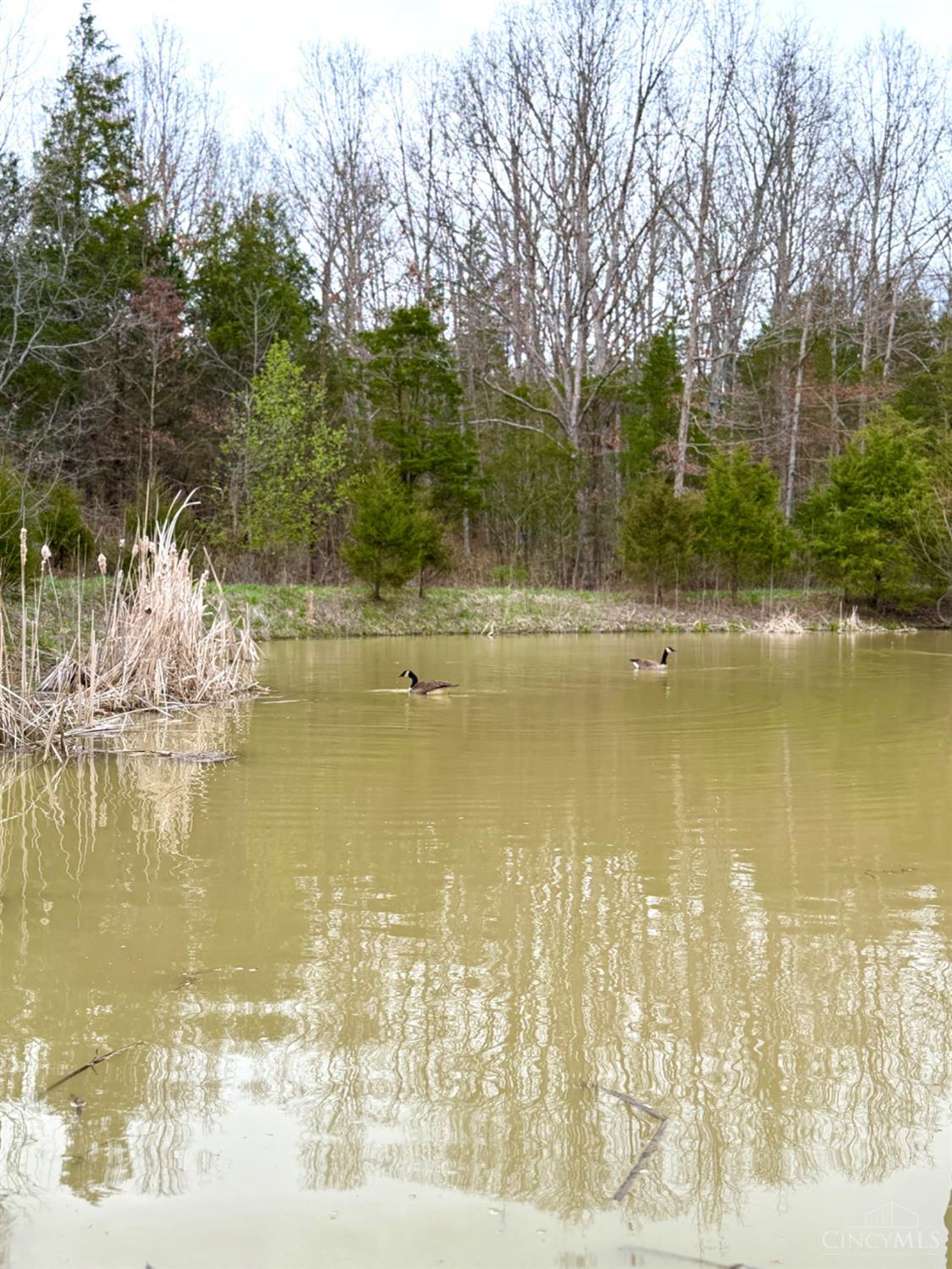 1600 Magee Jones Road Peebles, OH 45660 - Photo 23 of 91