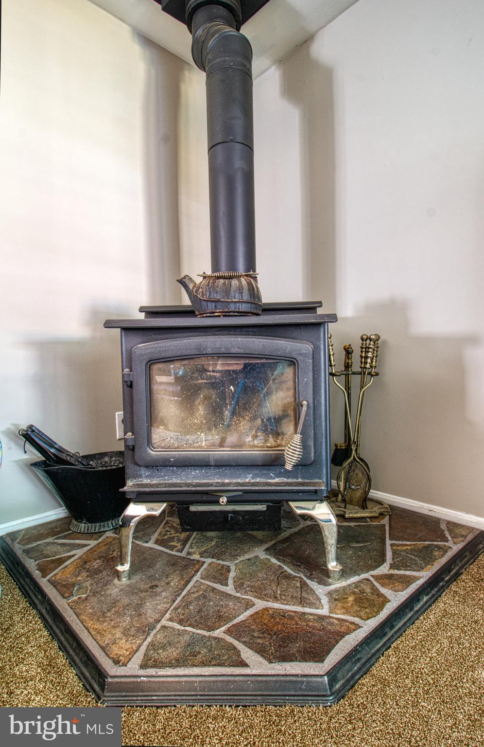 119 Wicomico Road Stevensville, MD 21666 - Photo 28 of 29 Gallery Image 28