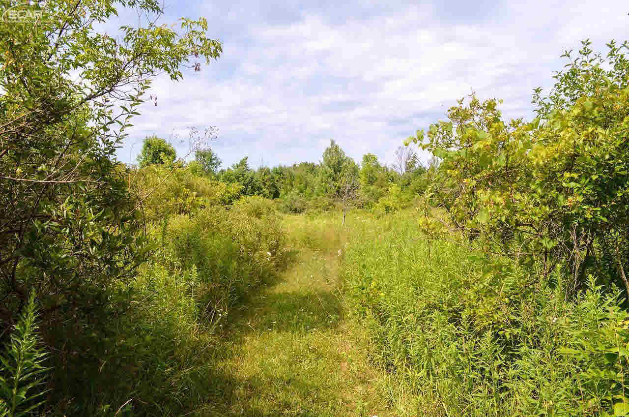 7183 East Bristol Road Davison, MI 48423 - Photo 16 of 16
