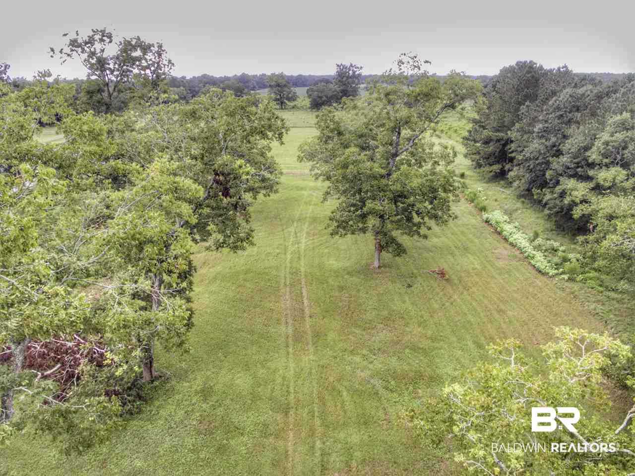 13183 Breman Road Elberta, AL 36530 - Photo 4 of 11