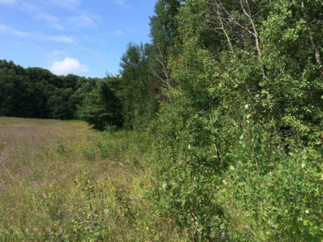 Deibert Road Southwest South Boardman, MI 49680 - Photo 3 of 13 Additional Photo