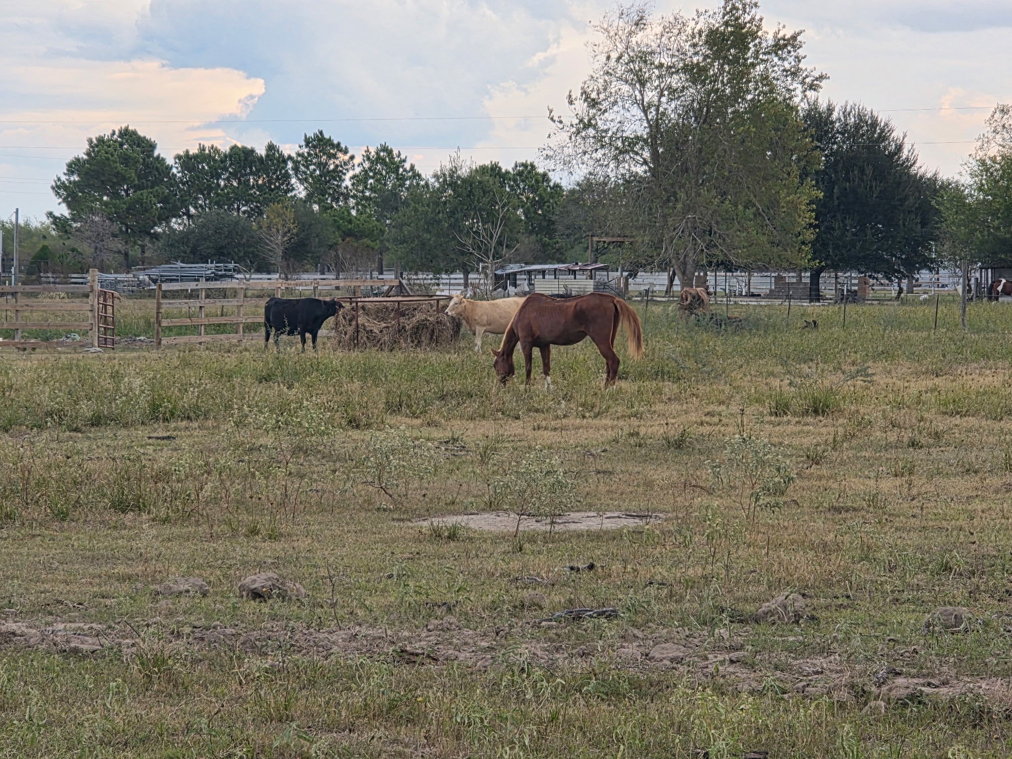 36847 Richard Frey Road, Unit 1 Hempstead, TX 77445 - Photo 11 of 14 a view of outdoor space with seating