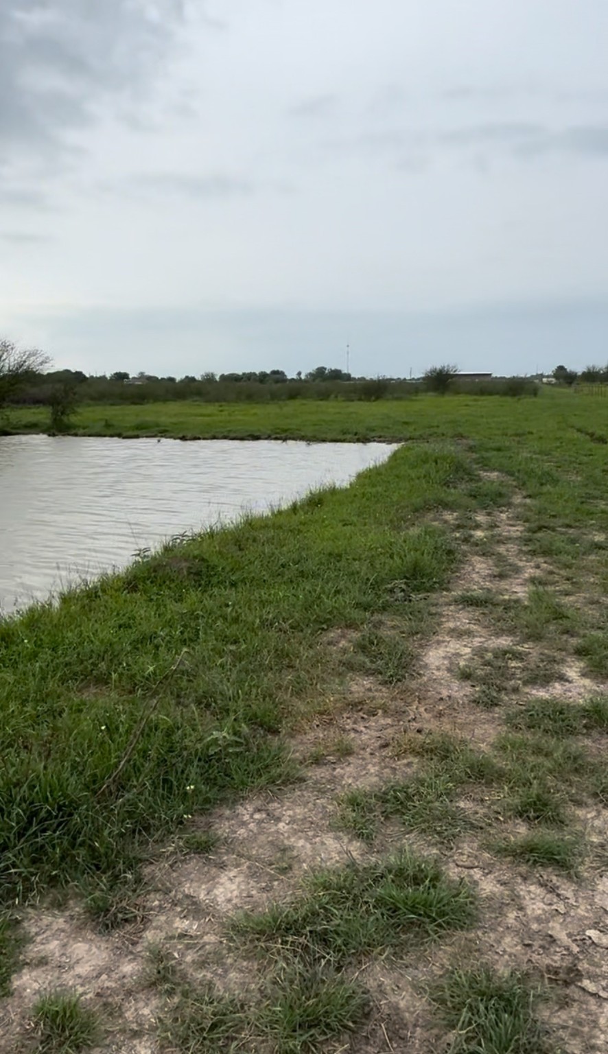 36847 Richard Frey Road, Unit 1 Hempstead, TX 77445 - Photo 13 of 14 a view of a lake with houses in the back