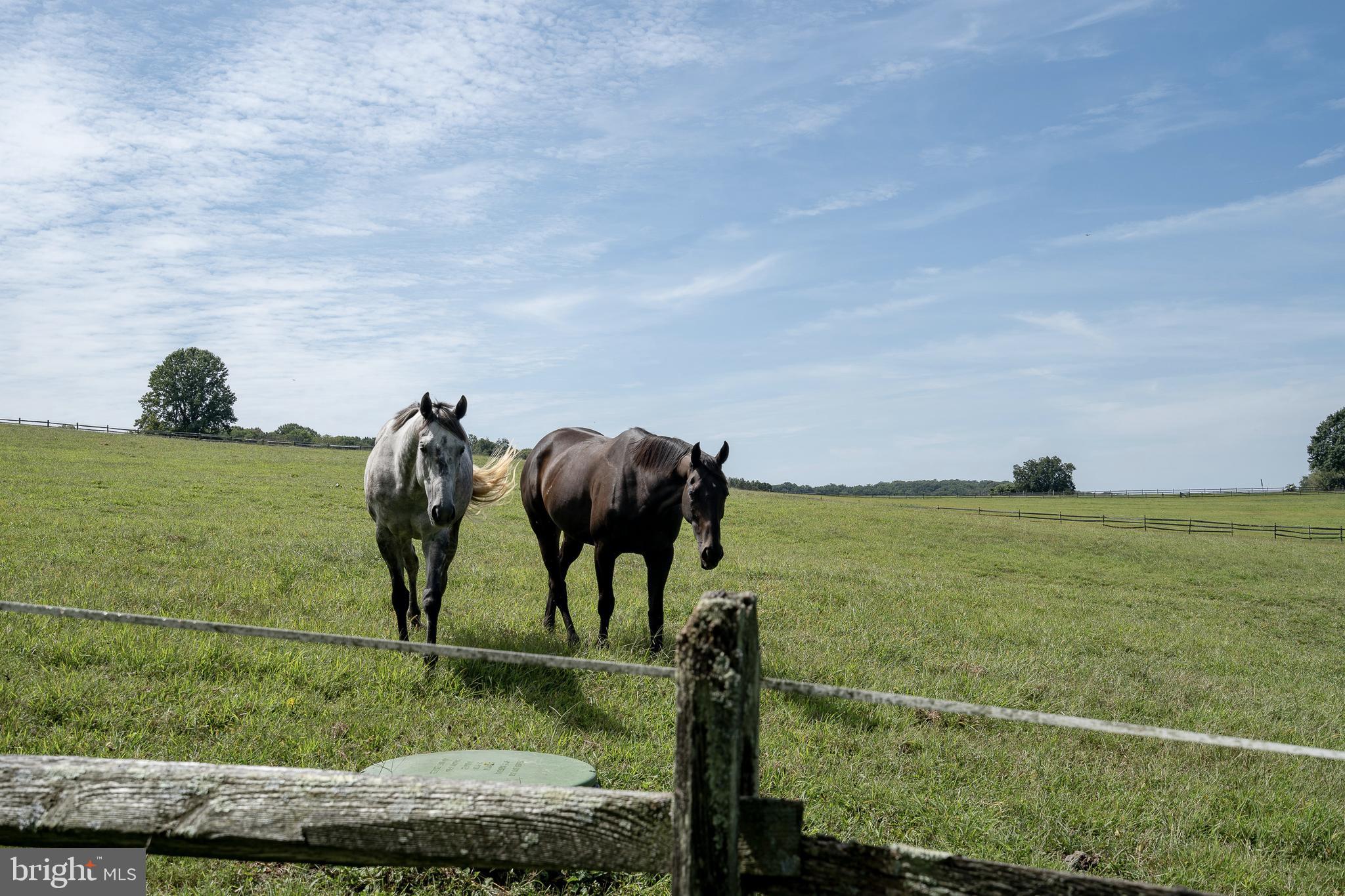 1450 Doe Run Road Kennett Square, PA 19348 - Photo 41 of 62 Gallery Image 41