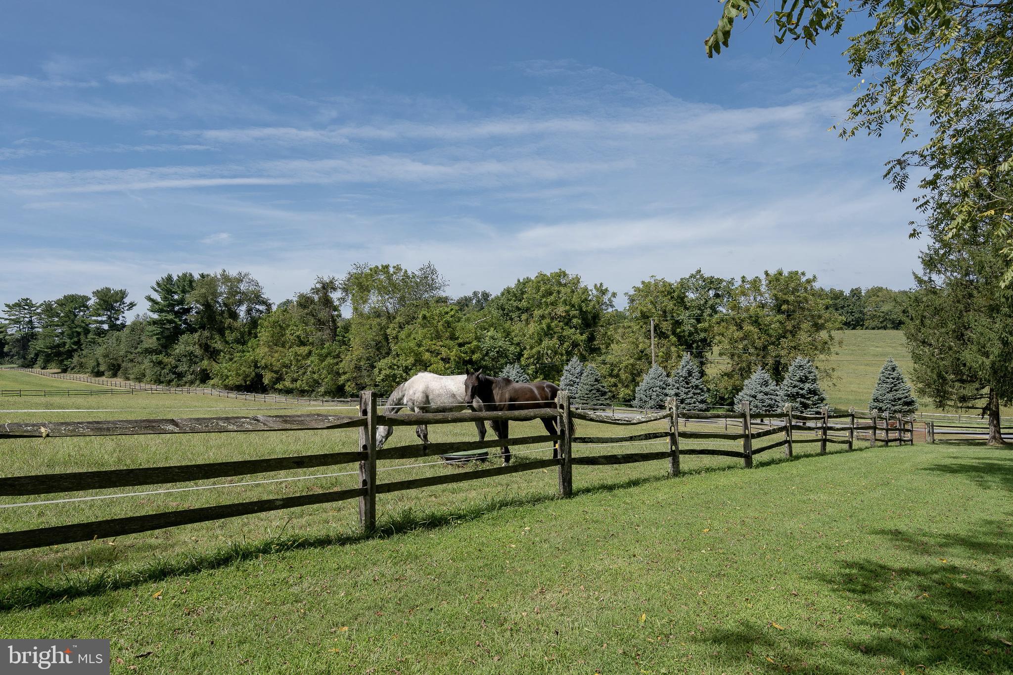 1450 Doe Run Road Kennett Square, PA 19348 - Photo 42 of 62 Gallery Image 42