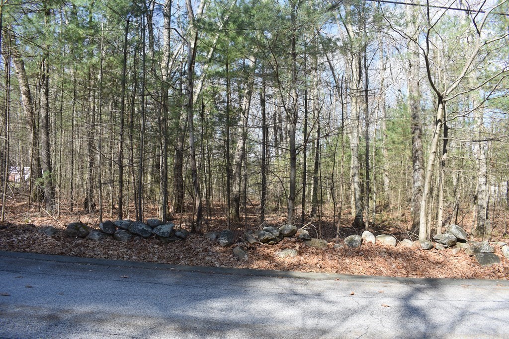 0 Rocky Road Whitinsville, MA 01588 - Photo 4 of 7 a view of outdoor space
