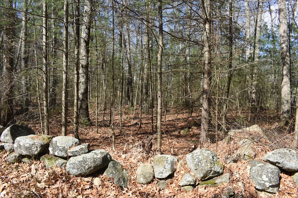 0 Rocky Road Whitinsville, MA 01588 - Photo 5 of 7 a view of outdoor space and yard
