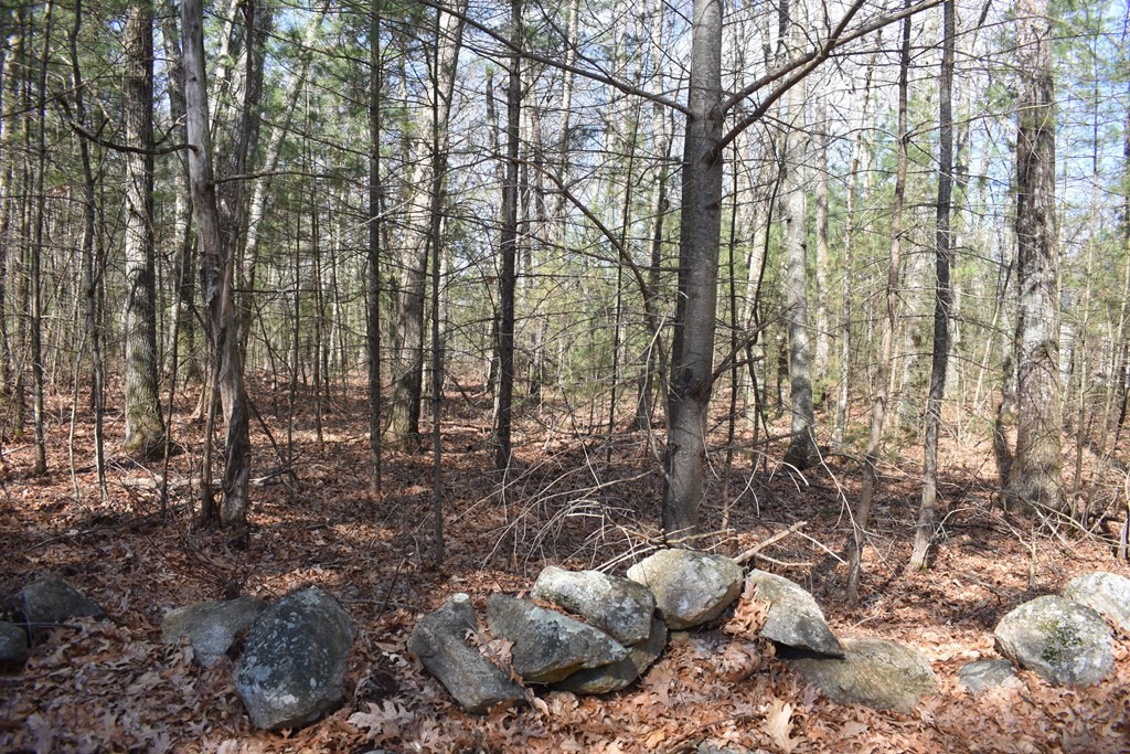 0 Rocky Road Whitinsville, MA 01588 - Photo 6 of 7 a backyard of a house with lots of green space