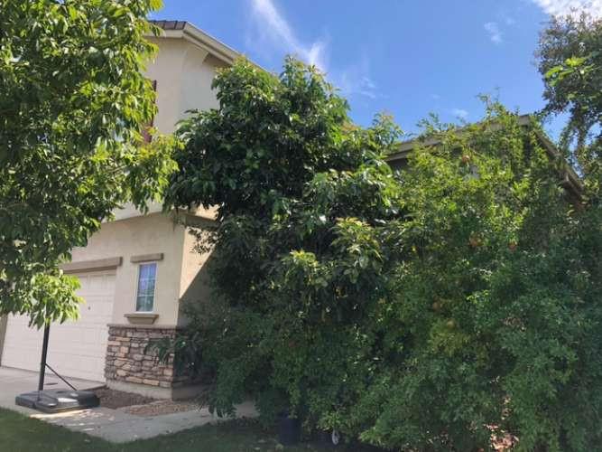 400 Arezzo Way Tracy, CA 95377 - Photo 2 of 34