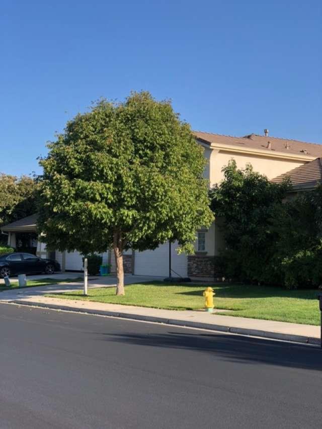 400 Arezzo Way Tracy, CA 95377 - Photo 3 of 34