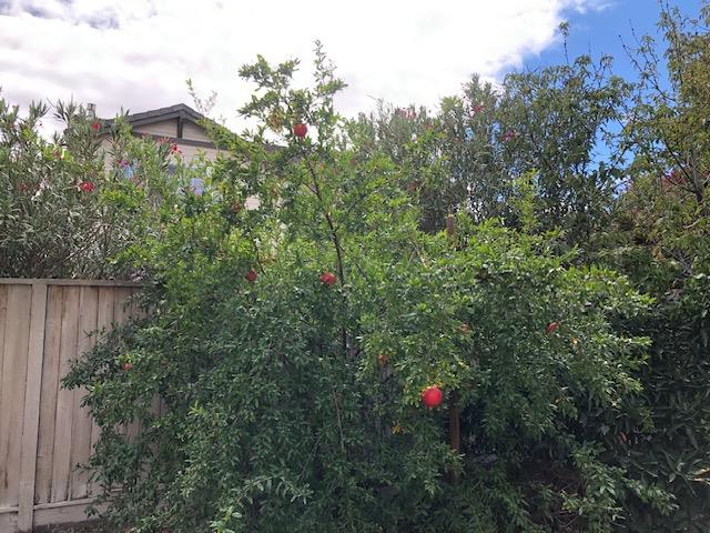 400 Arezzo Way Tracy, CA 95377 - Photo 33 of 34