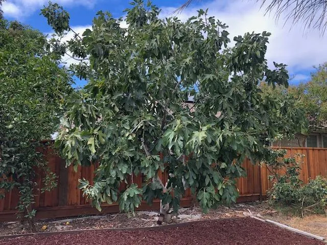 $679,000 | 400 Arezzo Way, Tracy, CA 95377