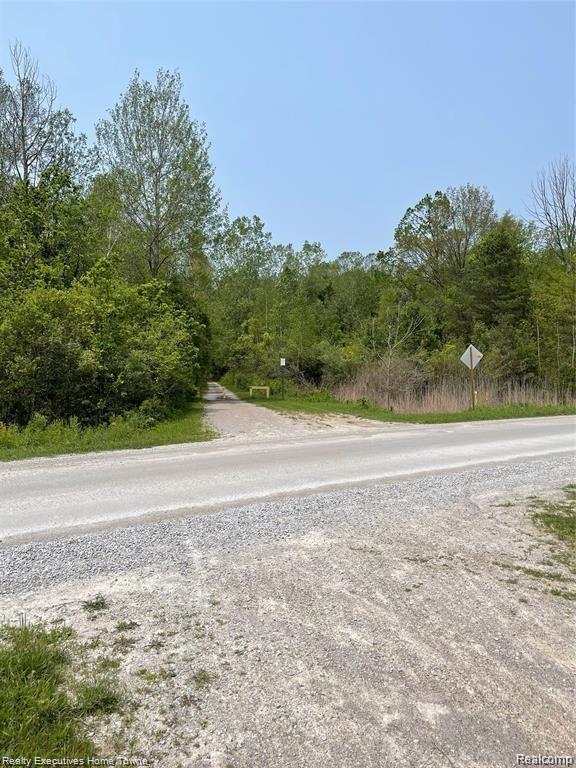 0 Rabidue Road North Street, MI 48049 - Photo 3 of 6
