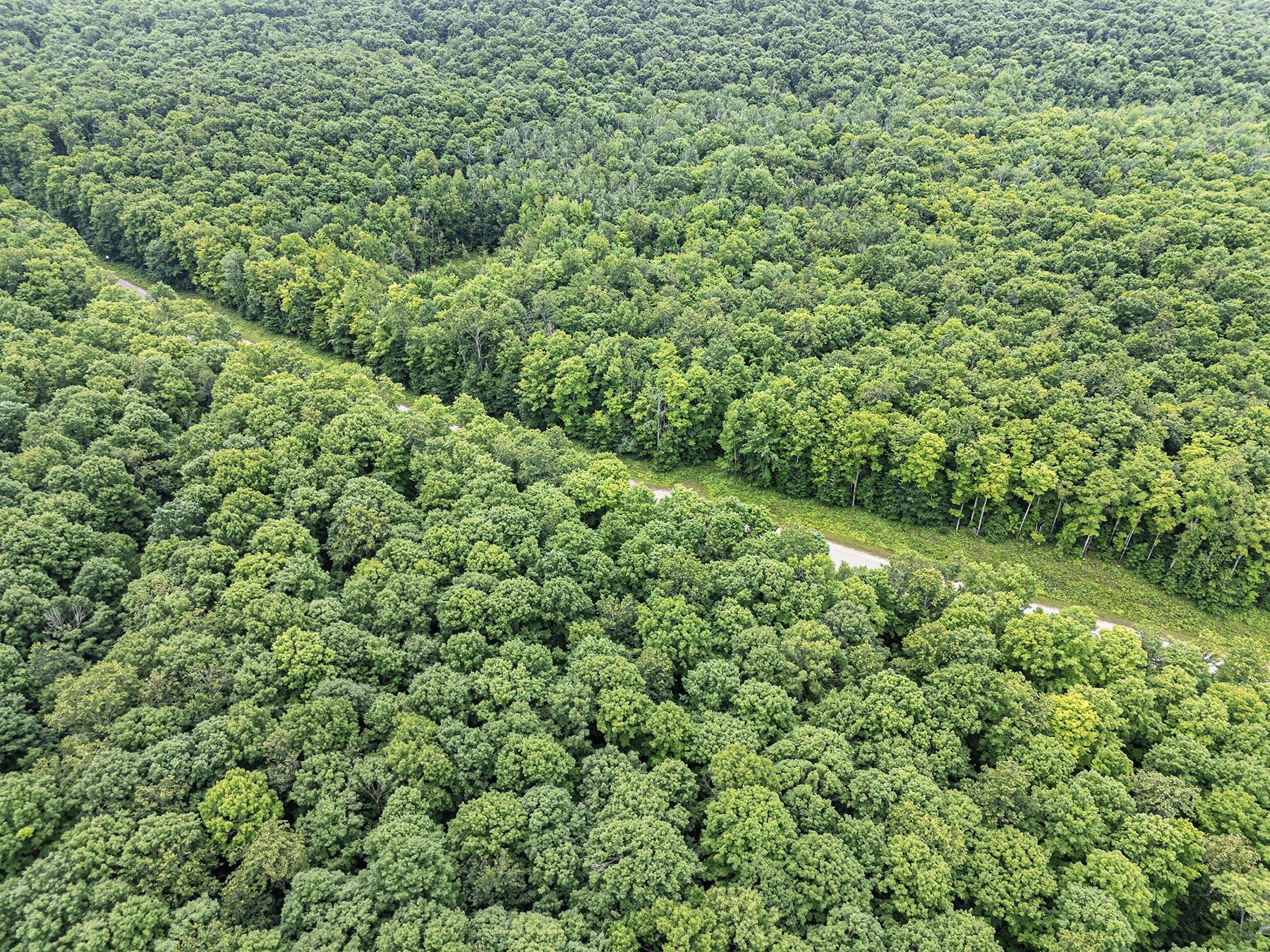 Lot 16 Sand Lake Road Crandon, WI 54520 - Photo 19 of 28 Gallery Image 19