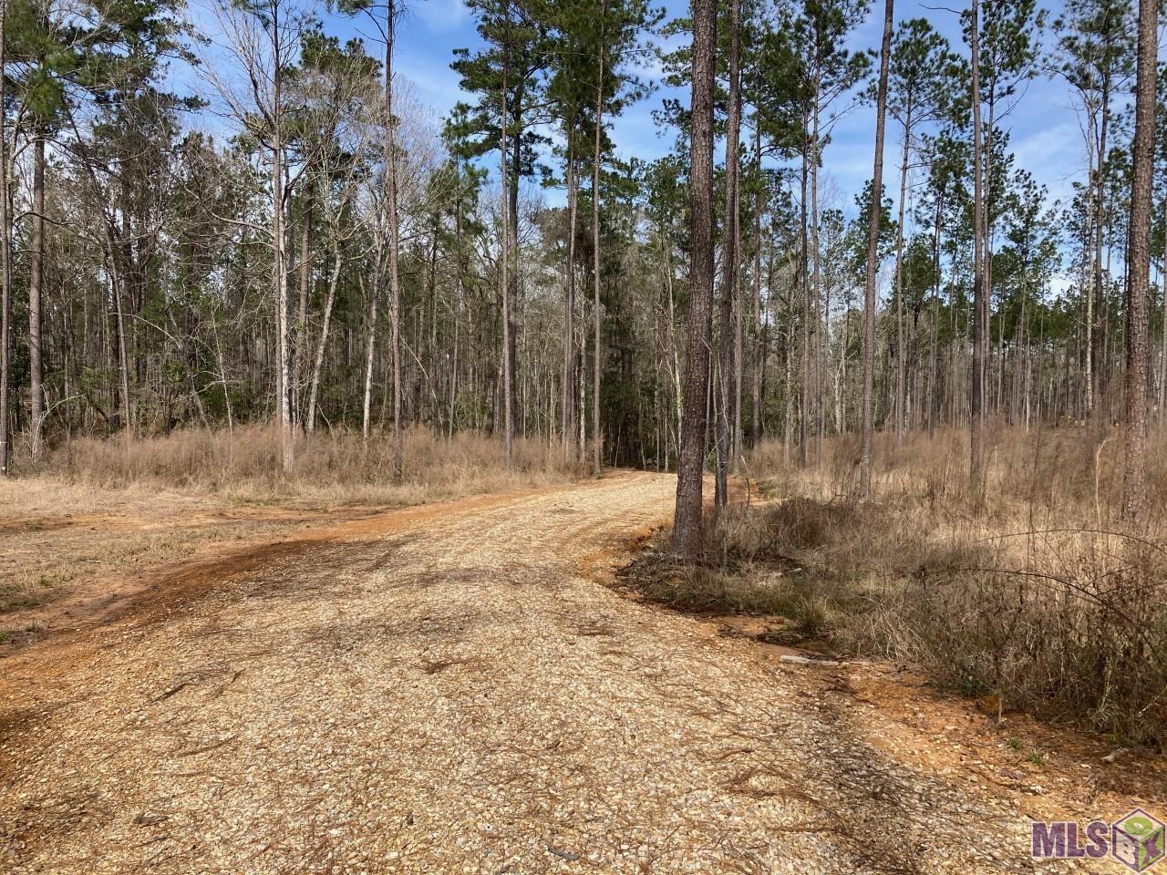 14874 Pace Road Clinton, LA 70722 - Photo 3 of 6 Gallery Image 3