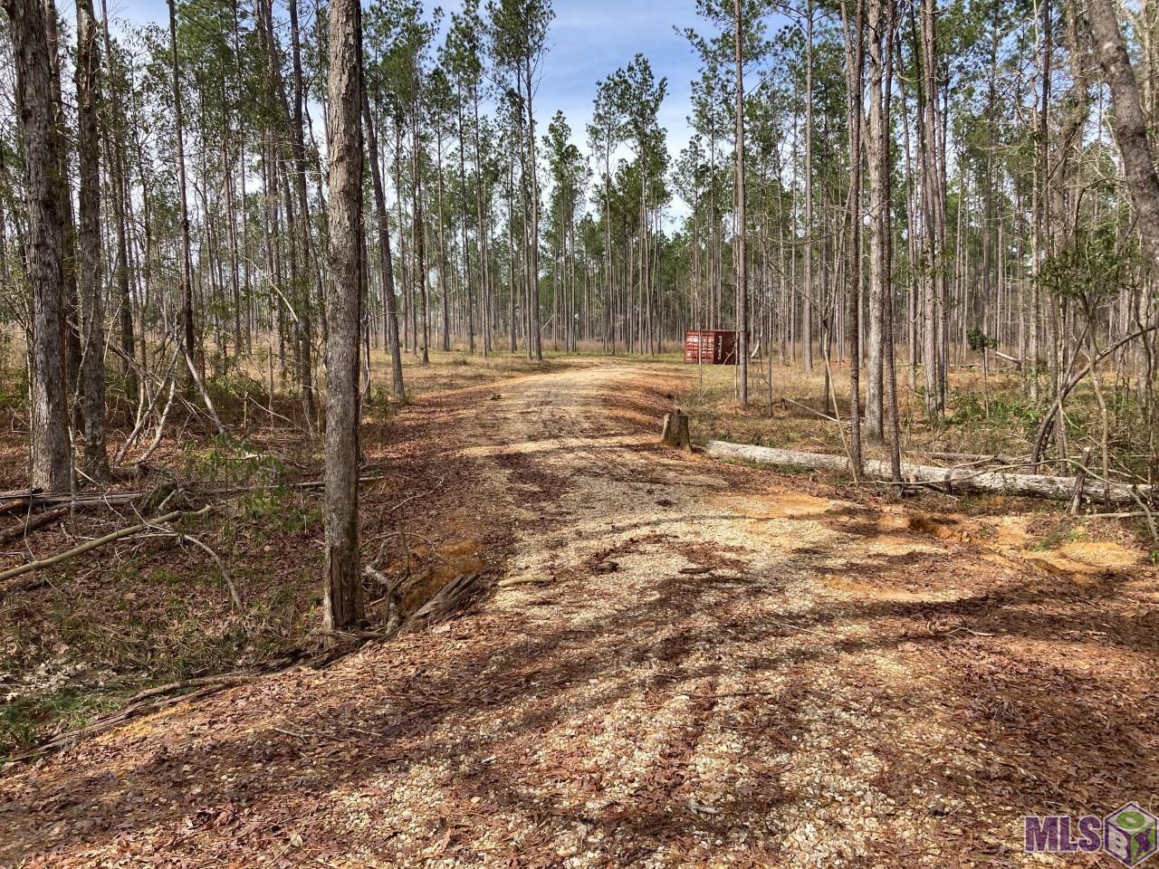 14874 Pace Road Clinton, LA 70722 - Photo 4 of 6 Gallery Image 4
