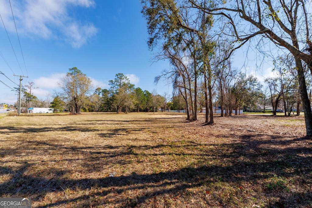 4696 Bemiss Road Valdosta, GA 31605 - Photo 2 of 7 a view of dirt yard with a large tree
