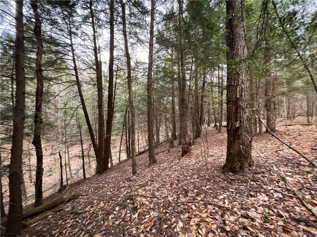 West Creek Road Richford, NY 13835 - Photo 29 of 44