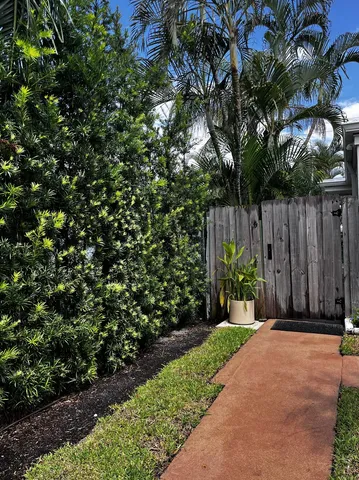a view of a pathway of a yard with wooden fence