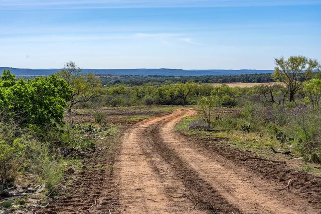 a view of a pathway with a yard