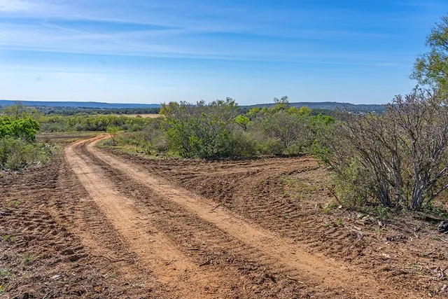 a view of a field with an ocean