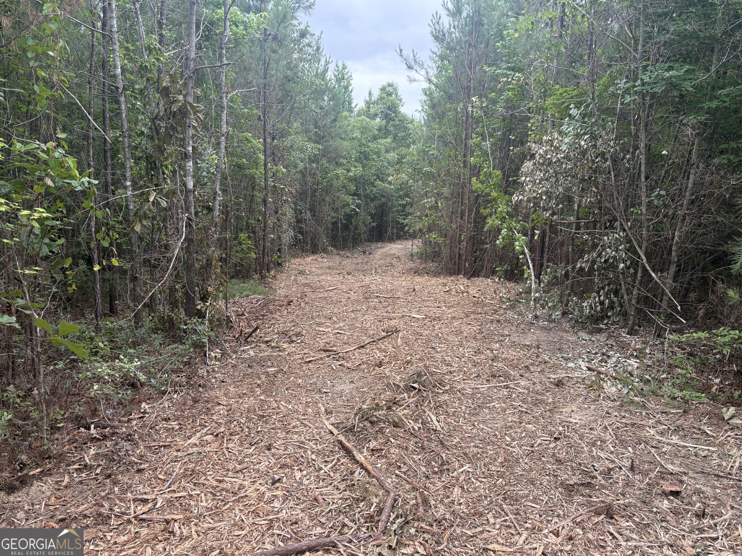L9 North Indian Trail Road Sandersville, GA 31082 - Photo 18 of 19