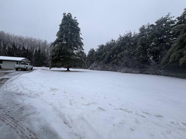 15209 Vance Road Hersey, MI 49639 - Photo 5 of 41 IMG_7337