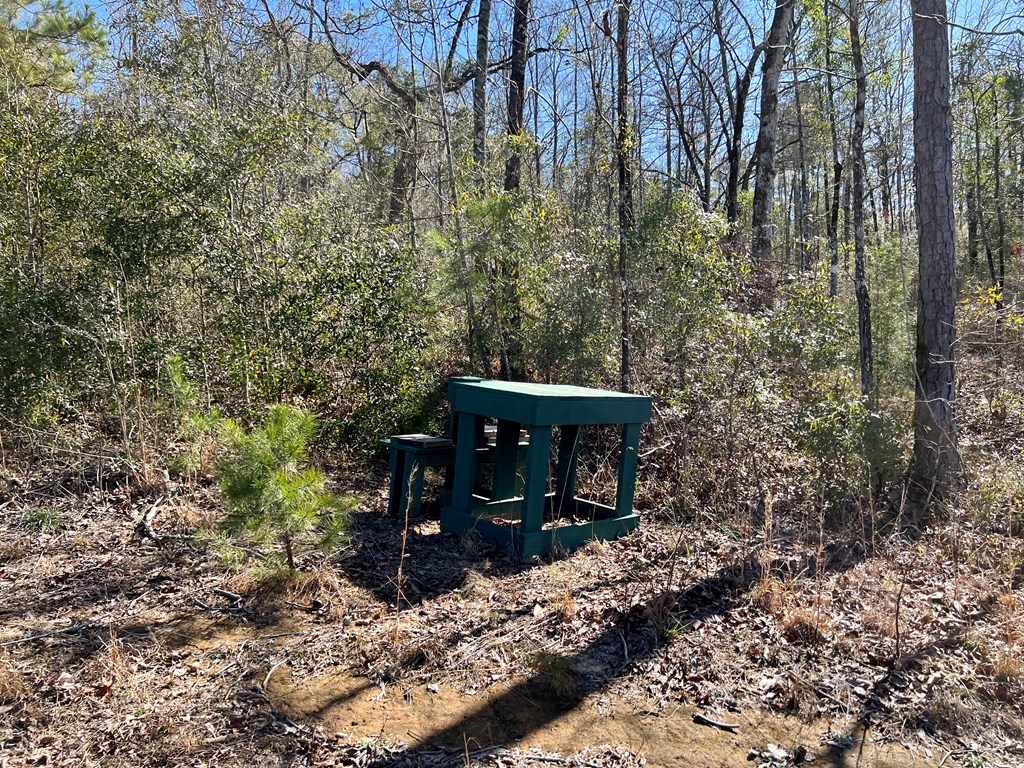 0 County Road 97 Abbeville, AL 36310 - Photo 23 of 53
