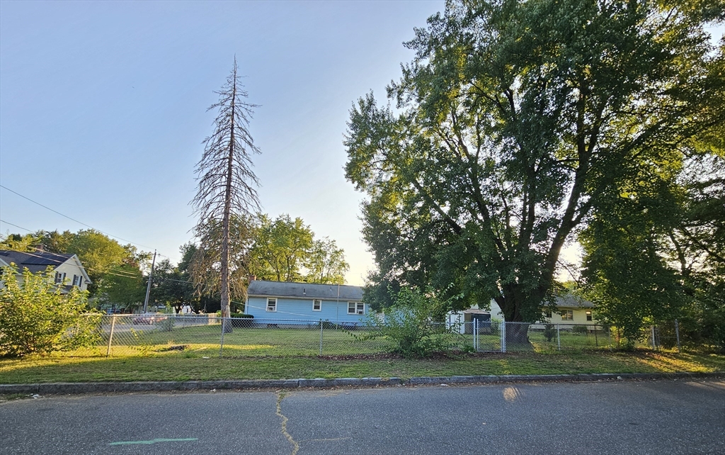 45 Dimmick Street Springfield, MA 01109 - Photo 8 of 22 a front view of a house with a yard and trees