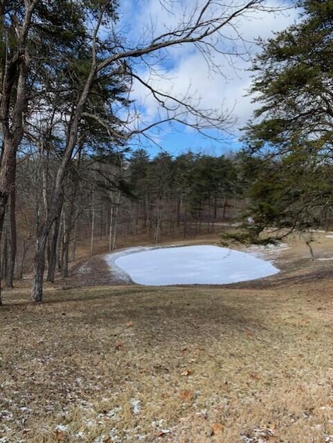 21354 Griffith Road Logan, OH 43138 - Photo 15 of 82 Pond one