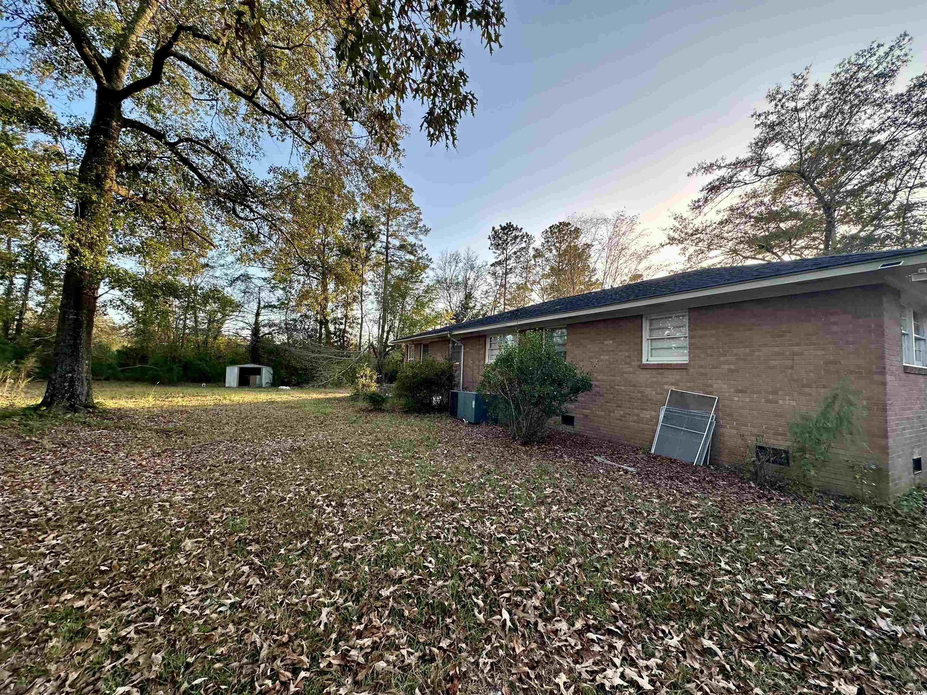1763 St James Road Hemingway, SC 29554 - Photo 17 of 29