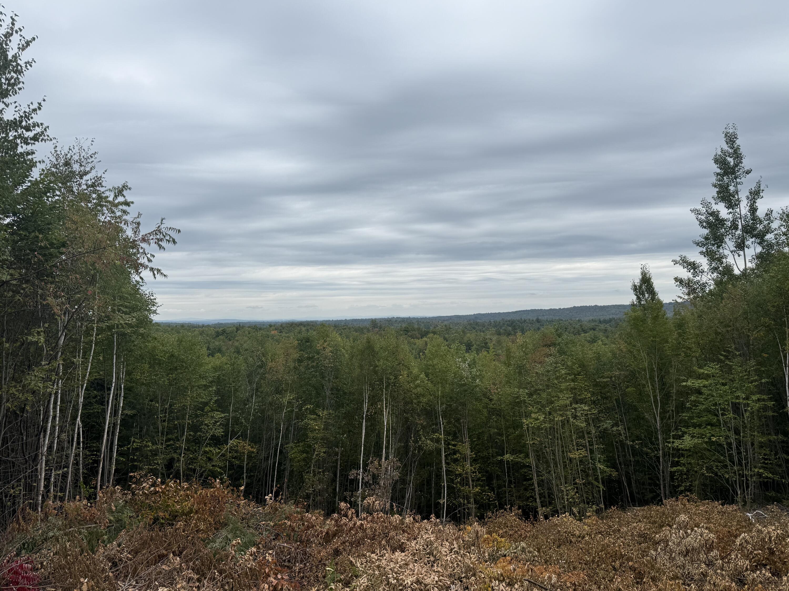 121 Hampshire Hill Road Mercer, ME 04957 - Photo 27 of 38 IMG_0609