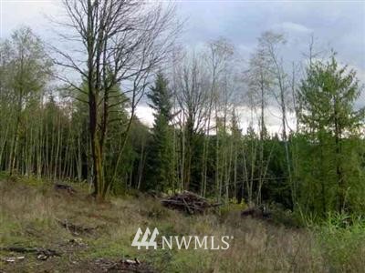 22155 Granstrom Road Mount Vernon, WA 98274 - Photo 1 of 1 Gallery Image 1