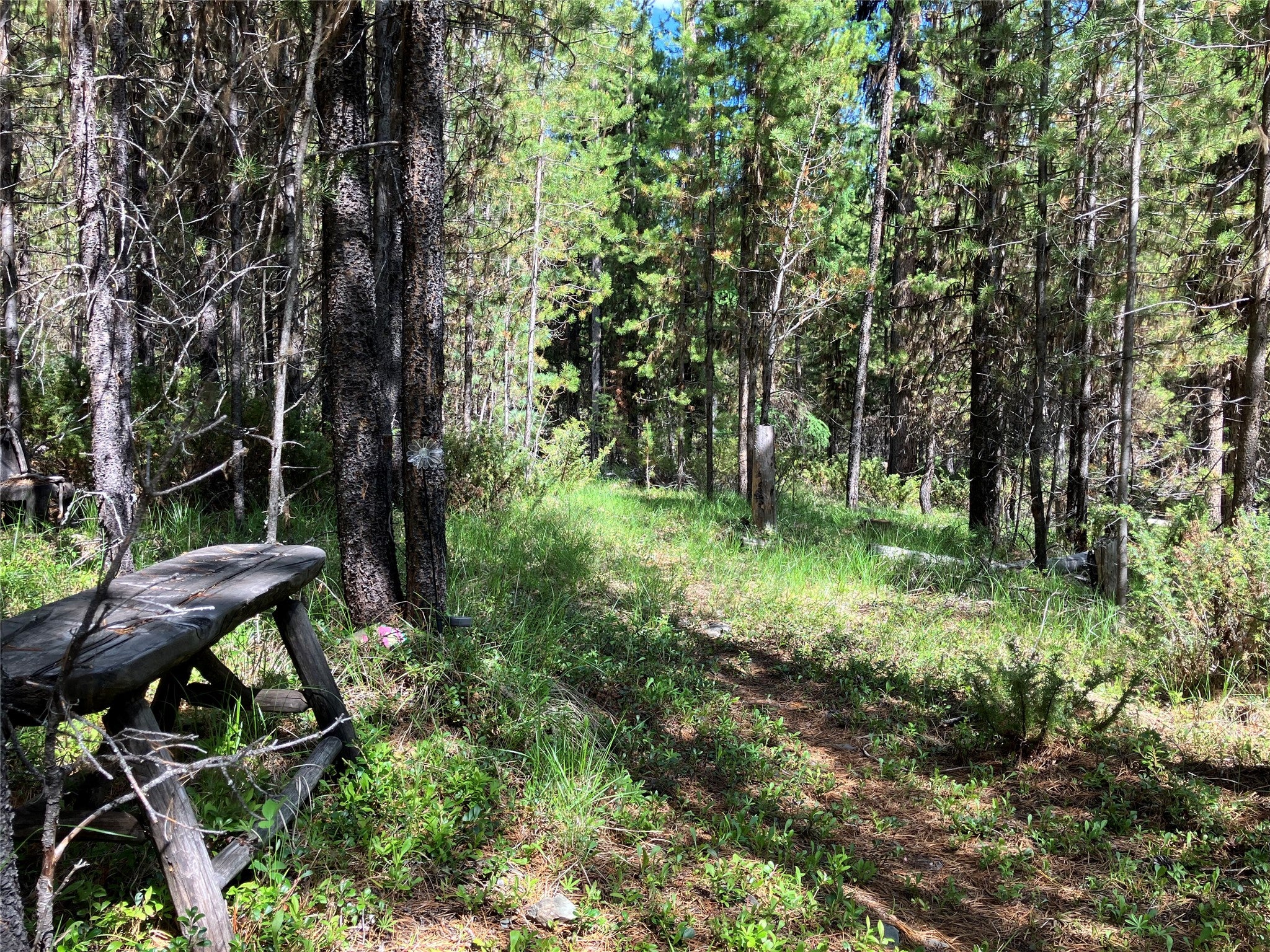 1606 North Fork Yaak Road Troy, MT 59935 - Photo 83 of 98 Gallery Image 83