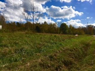 0 Prosser Road Leoma, TN 38468 - Photo 2 of 3 a view of a big yard with lots of green space