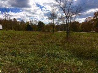0 Prosser Road Leoma, TN 38468 - Photo 3 of 3 a view of a field with lots of trees