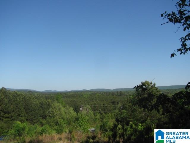 0 Indian Valley Road, Unit 1 Sylacauga, AL 35150 - Photo 4 of 5