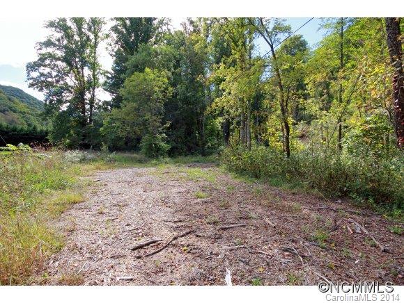 0 Little Cove Road Waynesville, NC 28786 - Photo 1 of 8 Gallery Image 1