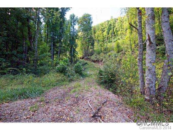 0 Little Cove Road Waynesville, NC 28786 - Photo 2 of 8 Gallery Image 2