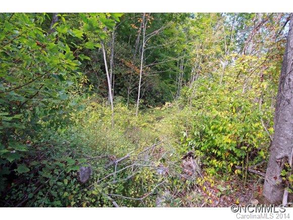 0 Little Cove Road Waynesville, NC 28786 - Photo 3 of 8 Gallery Image 3