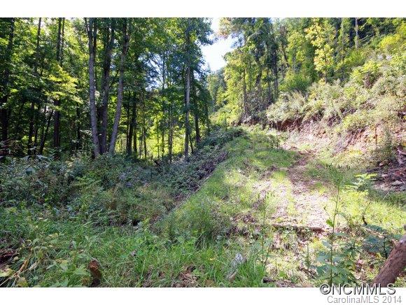 0 Little Cove Road Waynesville, NC 28786 - Photo 4 of 8 Gallery Image 4